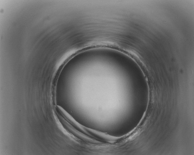 X0000063471038200601271624