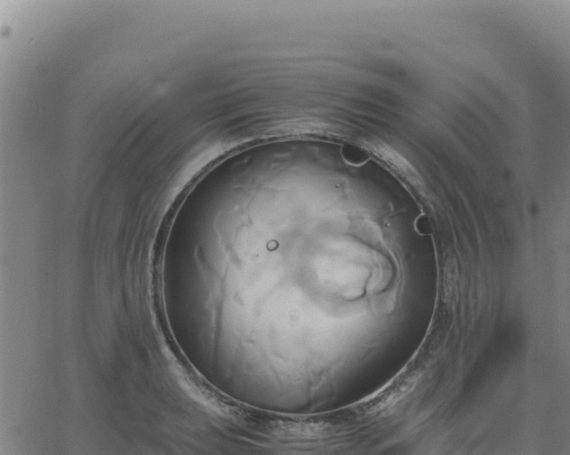 X0000063471039200601271624