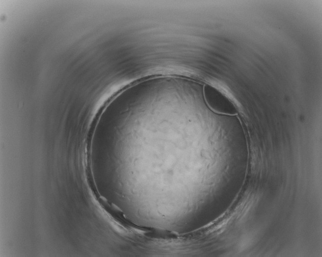 X0000063471040200601271624