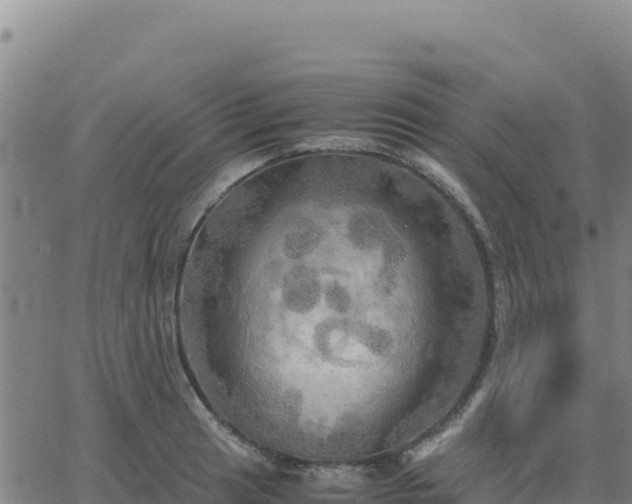 X0000063471041200601271624