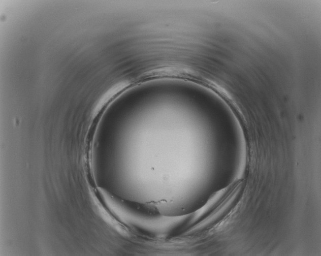 X0000063471042200601271624