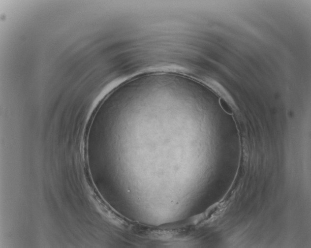 X0000063471044200601271624