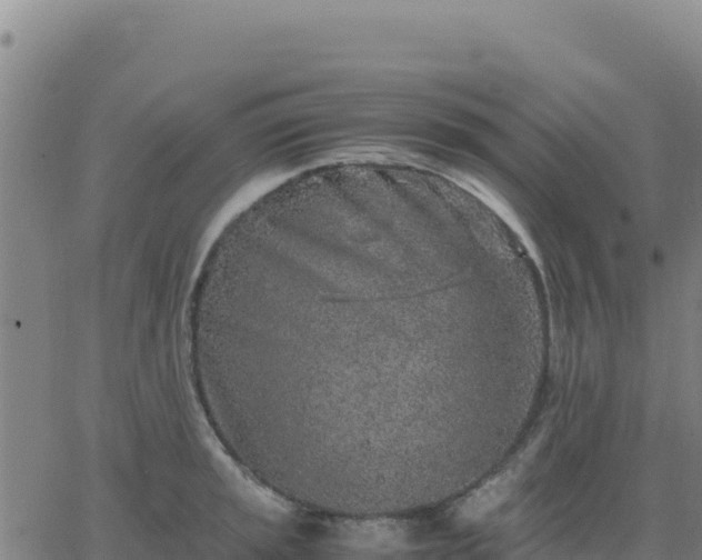 X0000063471045200601271624