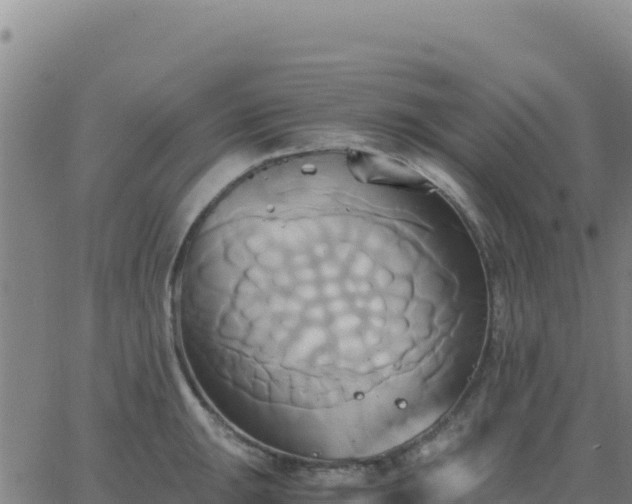 X0000063471047200601271624