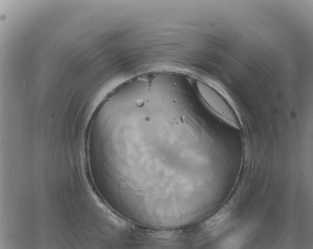 X0000063471048200601271624