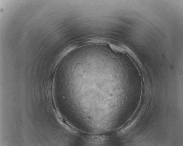 X0000063471049200601271625