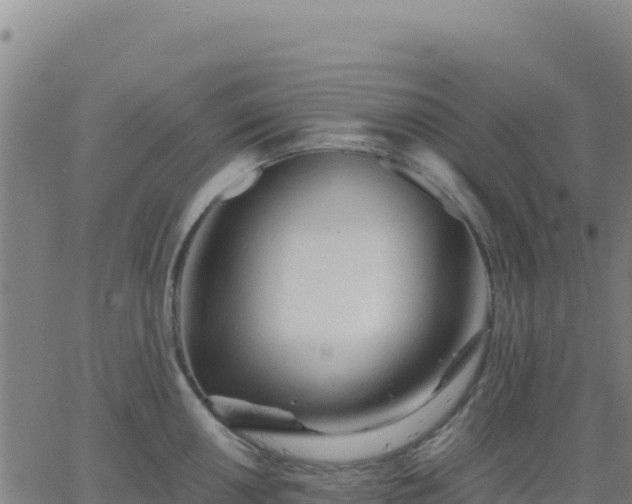 X0000063471050200601271625