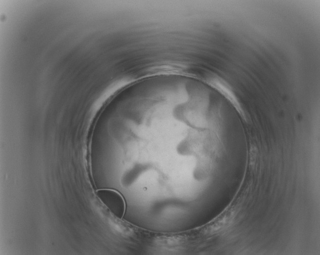 X0000063471051200601271625