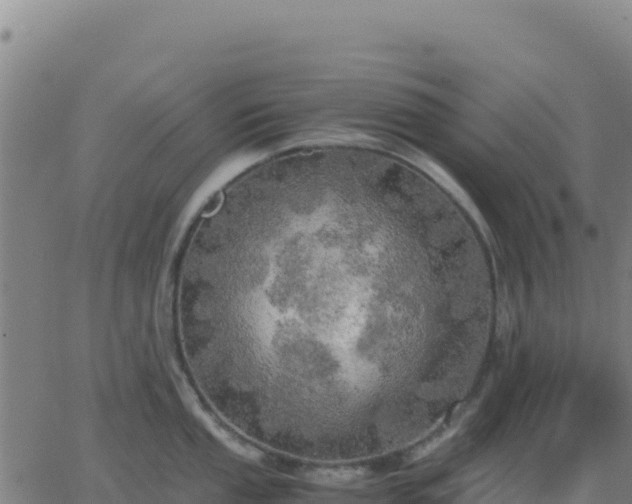 X0000063471053200601271625