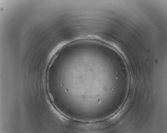 X0000063471054200601271625