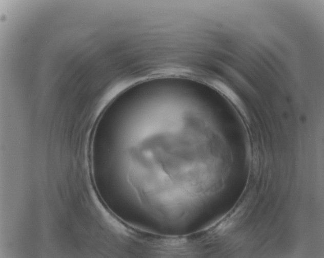 X0000063471055200601271625