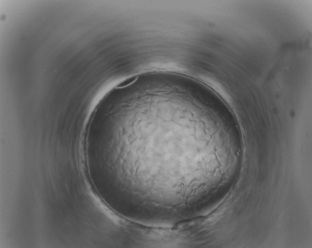 X0000063471056200601271625