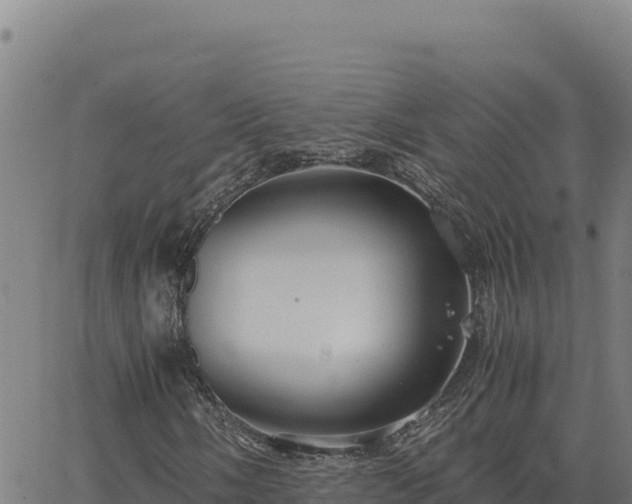 X0000063471058200601271624