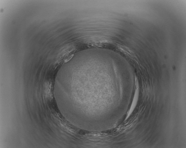 X0000063471060200601271624