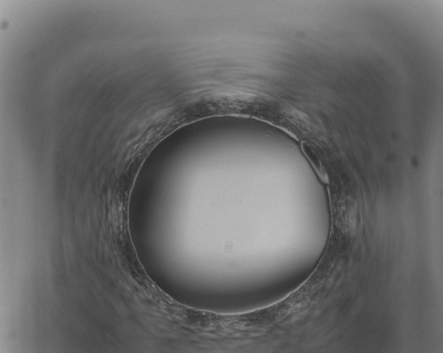 X0000063471061200601271624