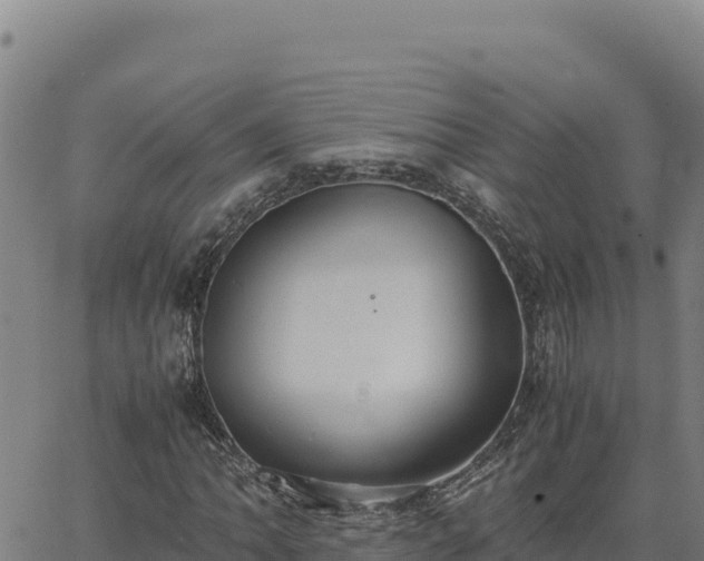 X0000063471062200601271624