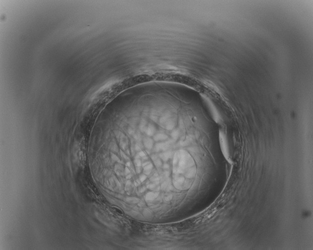 X0000063471063200601271624