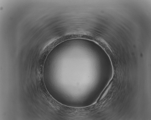 X0000063471064200601271624