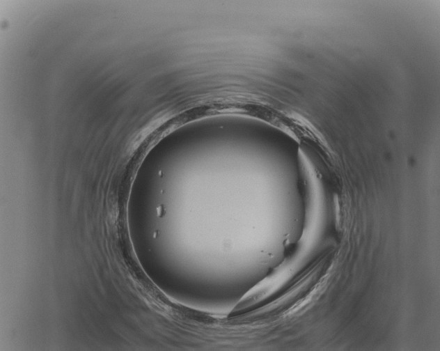 X0000063471065200601271624