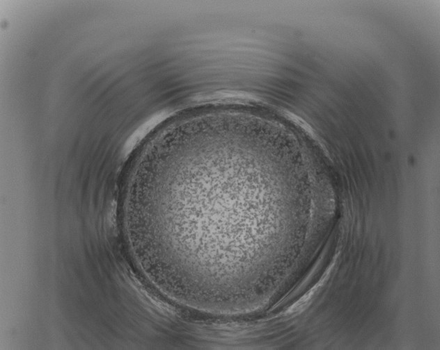 X0000063471066200601271624