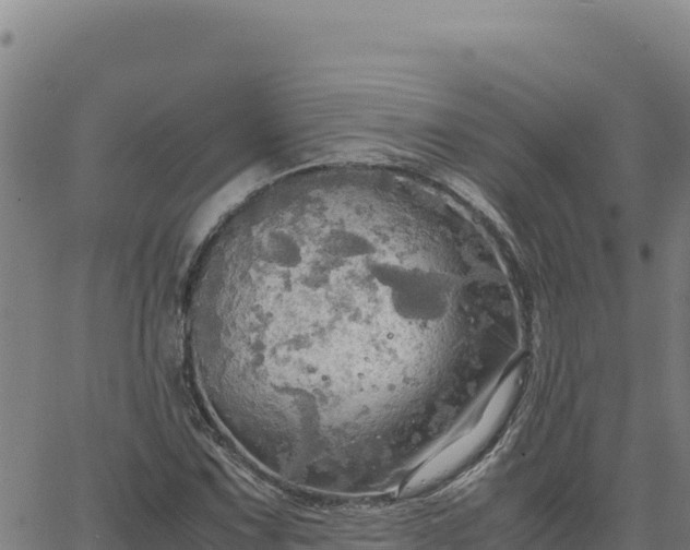 X0000063471067200601271624