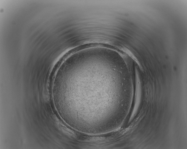 X0000063471068200601271624