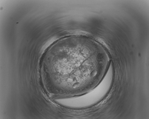 X0000063471071200601271624