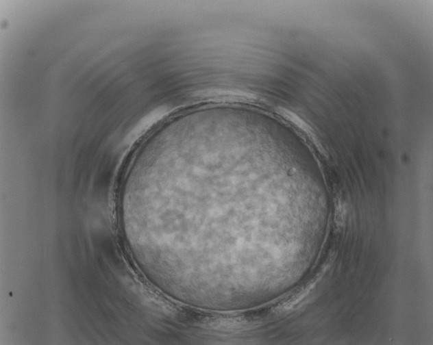 X0000063471074200601271624