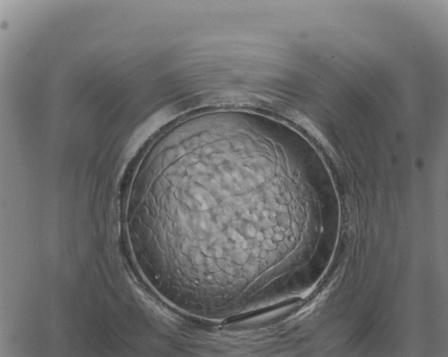 X0000063471075200601271624