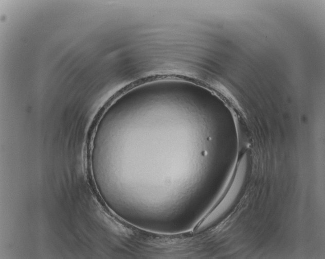 X0000063471076200601271624