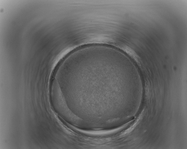 X0000063471077200601271624