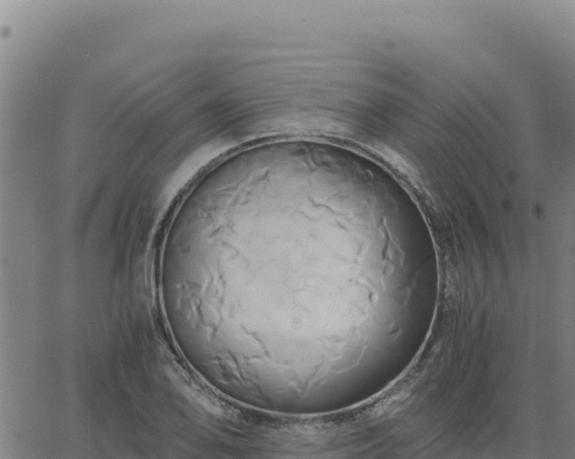 X0000063471078200601271623