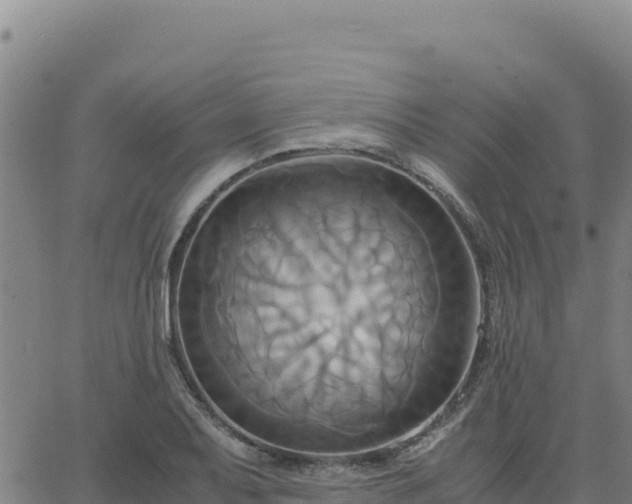 X0000063471079200601271623