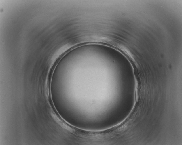 X0000063471080200601271623