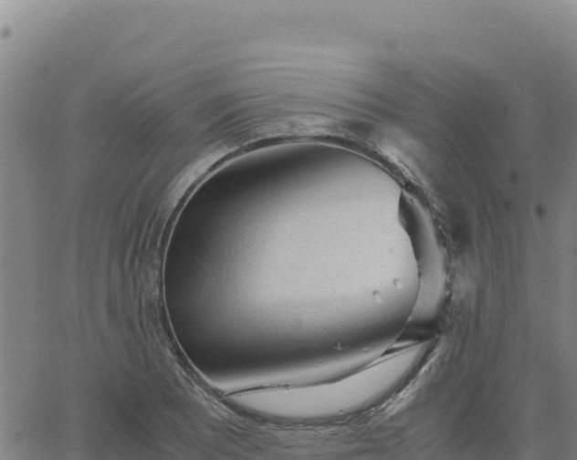 X0000063471081200601271623