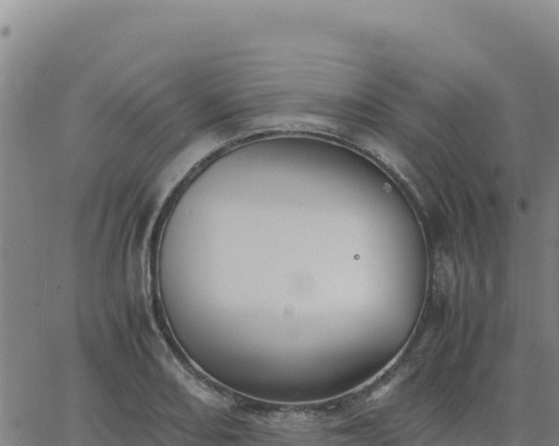 X0000063471082200601271623