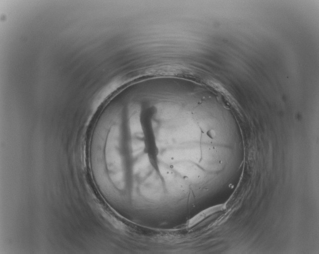 X0000063471083200601271623