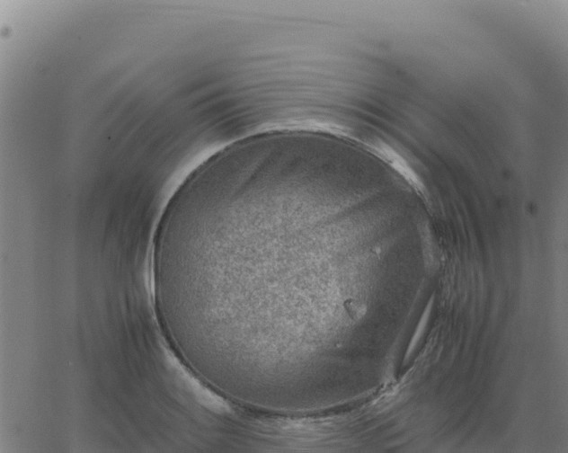 X0000063471084200601271623