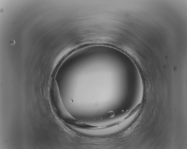 X0000063471085200601271623