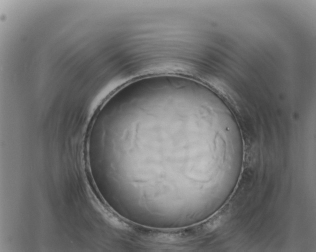 X0000063471086200601271623