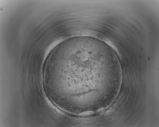 X0000063471088200601271623