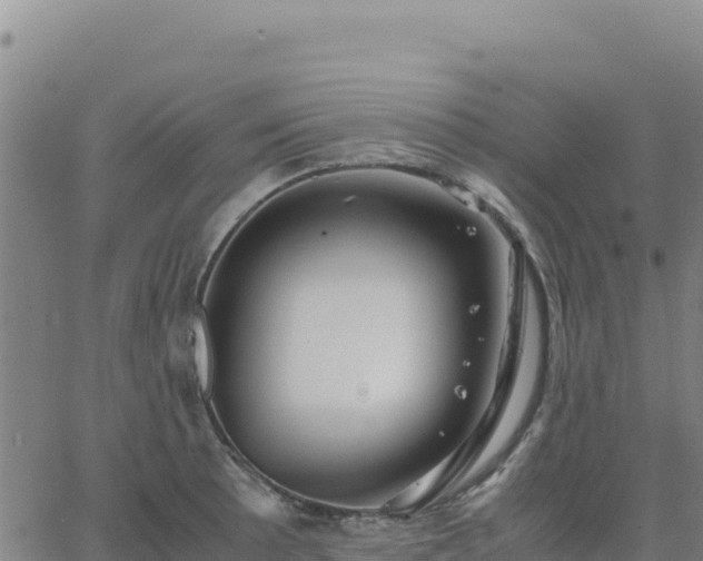 X0000063471089200601271623