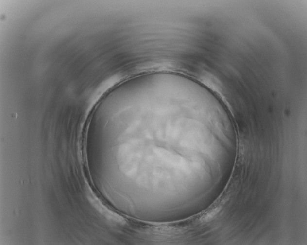 X0000063471090200601271623