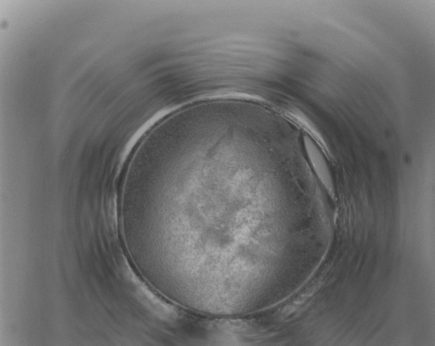 X0000063471092200601271623