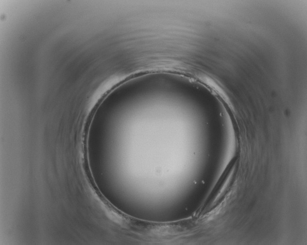 X0000063471093200601271623