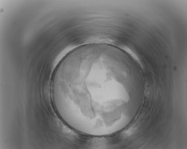 X0000063471094200601271623