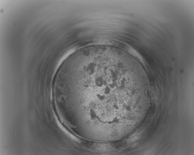 X0000063471095200601271623