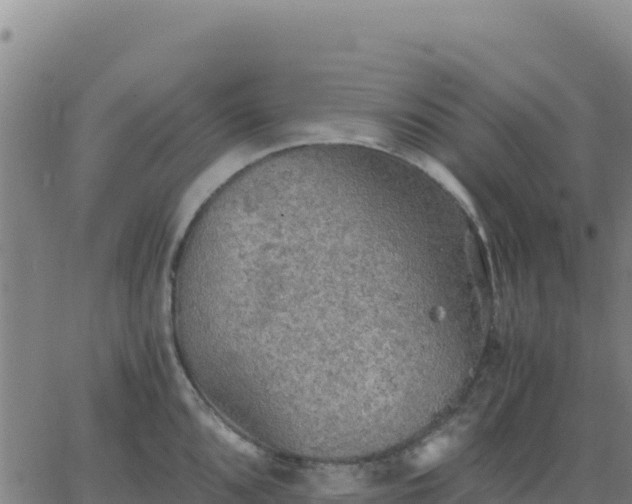 X0000063471096200601271623