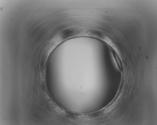 X0000063471097200601271623