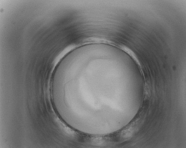 X0000063471098200601271623